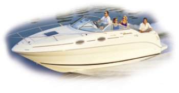 Sea Ray 240